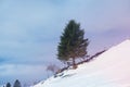 Beautiful winter landscape, snow-covered trees, mountainpass, snowfall in the mountains, Swiss Alps in the snow, walks in the Royalty Free Stock Photo