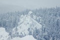 Beautiful winter landscape with snow covered trees