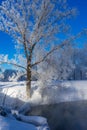 Beautiful winter landscape with snow-covered trees on the river bank Royalty Free Stock Photo