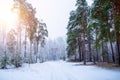 Beautiful winter landscape with snow covered trees in sunny day. Russian landscape Royalty Free Stock Photo