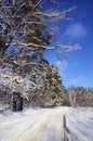 Beautiful winter landscape with snow covered trees in a sunny day.Frosty trees in snowy forest. Royalty Free Stock Photo