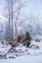 Beautiful winter landscape with snow-covered trees. Winter snow forest with blue sky on background. Fabulous winter. Concept