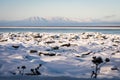 Beautiful winter landscape of a snowy mountain and frozen Knik Arm taken from Earthquake Park along Tony Knowles Coastal Trail.