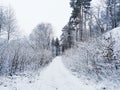 Beautiful winter landscape with snowy trees andrural road covered with snow in Larvik, Norway Royalty Free Stock Photo