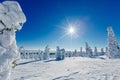 Beautiful winter landscape with snowy trees in Lapland, Finland. Frozen forest in winter. Royalty Free Stock Photo