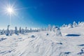 Beautiful winter landscape with snowy trees in Lapland, Finland. Frozen forest in winter. Royalty Free Stock Photo