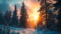 Beautiful winter landscape with sunbeams in the snowy forest inspired by Siberia, Altai or Norwegian nature Royalty Free Stock Photo