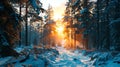 Beautiful winter landscape with sunbeams in the snowy forest inspired by Siberia, Altai or Norwegian nature Royalty Free Stock Photo