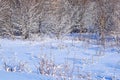 Beautiful winter landscape. Royalty Free Stock Photo