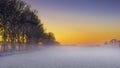 Beautiful Winter Landscape At Sunset With Snow And Fog