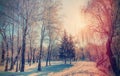 Beautiful winter landscape sunset in winter Royalty Free Stock Photo