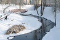 Beautiful winter landscape. The town has a park and a winding frozen river. Many hungry ducks on the water. Feed the animals in