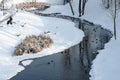 Beautiful winter landscape. The town has a park and a winding frozen river. Many hungry ducks on the water. Feed the animals in