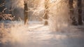 beautiful winter landscape, tree branches covered by snow, a forest in a morning haze, beautiful nature Royalty Free Stock Photo