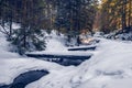 .Beautiful winter landscape. Tree trunks covered with snow lying by the mountain stream. Mountain valley.winter.Beautiful winter Royalty Free Stock Photo