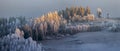 Beautiful winter landscape - trees adorned with frost on the frozen hills against the background of the morning fog Royalty Free Stock Photo