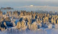 Beautiful winter landscape - trees adorned with frost on the frozen hills against the background of the morning fog Royalty Free Stock Photo