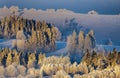 Beautiful winter landscape - trees adorned with frost on the frozen hills against the background of the morning fog Royalty Free Stock Photo