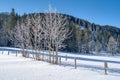 Beautiful winter landscape. Leogang, Tirol, Alps, Austria