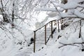 Beautiful winter landscape of Ukrainian Carpathian Mountains with spruce forest and wooden stairs Royalty Free Stock Photo