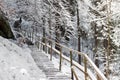 Beautiful winter landscape of Ukrainian Carpathians with spruce forest covered with snow Royalty Free Stock Photo