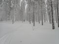 Beautiful winter lanscape skitouring in the alps