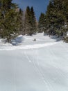 Beautiful winter lanscape skitouring in the alps