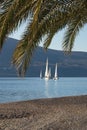 Beautiful winter Mediterranean landscape with sailing boats on water. Montenegro. View of Bay of Kotor near Tivat city Royalty Free Stock Photo