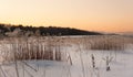 Beautiful winter morning landscape. Christmas or New Yaer holiday background Royalty Free Stock Photo