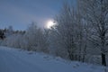 Winter morning, moon behind trees, moonlit, snow covered trees, colorful sky Royalty Free Stock Photo