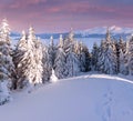 Beautiful winter morning in mountains Royalty Free Stock Photo