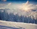 Beautiful winter morning in mountains Royalty Free Stock Photo