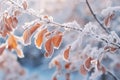 Beautiful winter morning nature closeup elements background. Cold weather frosty seasonal landscape