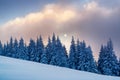 Beautiful winter morning with sun in the fog. Royalty Free Stock Photo