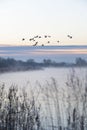 Beautiful winter morning, sunrise on lake the Netherlands. Royalty Free Stock Photo