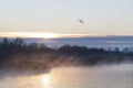 Beautiful winter morning, sunrise on lake the Netherlands. Royalty Free Stock Photo