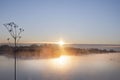 Beautiful winter morning, sunrise on lake the Netherlands. Royalty Free Stock Photo