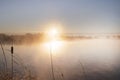 Beautiful winter morning, sunrise on lake the Netherlands. Royalty Free Stock Photo