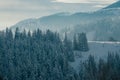 Beautiful winter mountain landscape with forest
