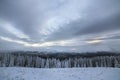 Beautiful winter mountain landscape. Tall dark green spruce trees covered with snow on mountain peaks and cloudy sky background Royalty Free Stock Photo