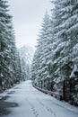 A beautiful winter mountains forest landscape with a road. Royalty Free Stock Photo