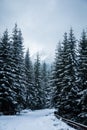 A beautiful winter mountains forest landscape with a road. Royalty Free Stock Photo