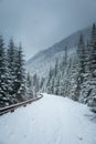 A beautiful winter mountains forest landscape with a road. Royalty Free Stock Photo