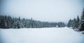 A beautiful winter mountains forest landscape with a road. Royalty Free Stock Photo