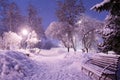 Beautiful winter night landscape of snow covered bench among snowy trees and shining lights during the snowfall. Artistic picture Royalty Free Stock Photo