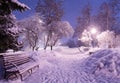 Beautiful winter night landscape of snow covered bench among snowy trees and shining lights during the snowfall. Artistic picture Royalty Free Stock Photo