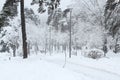 Beautiful winter night landscape of snow covered bench among snowy trees and shining lights during the snowfall. Artistic picture Royalty Free Stock Photo