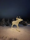 Beautiful winter night landscape with the snow-covered trees