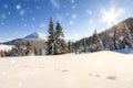 Beautiful winter panorama with fresh falling snow. Landscape wit Royalty Free Stock Photo