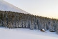 Beautiful winter panorama. Landscape with spruce pine trees, blu Royalty Free Stock Photo